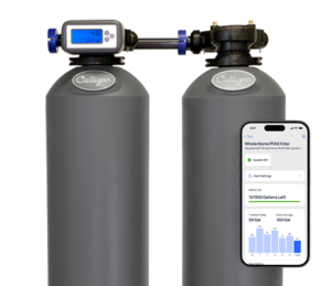 PFAS Whole home water filter for Houston